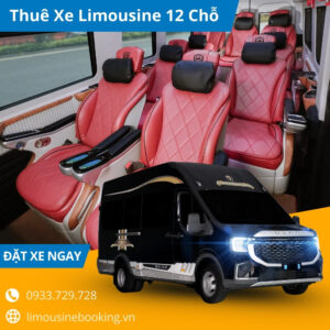 thue-xe-limousine-12-cho